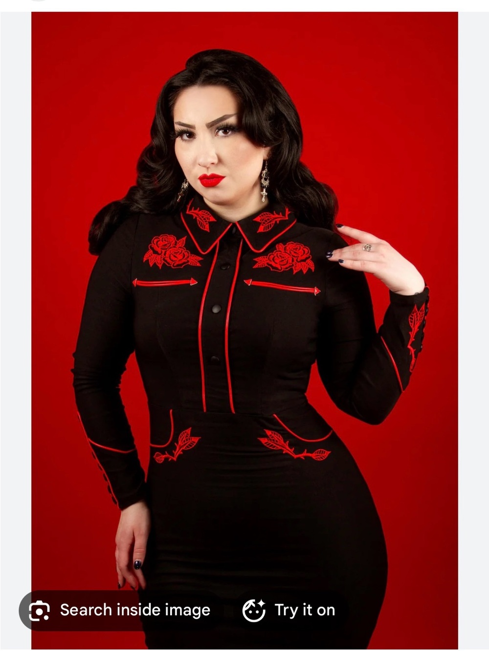 Black Fitted Dress with Red Rose Embroidery